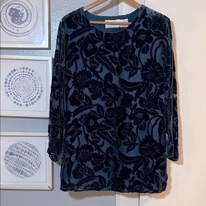 Vtg Silk Lore Top Womens Size L Blue Burnout Velvet Whimsigoth Forest Fairy Boho